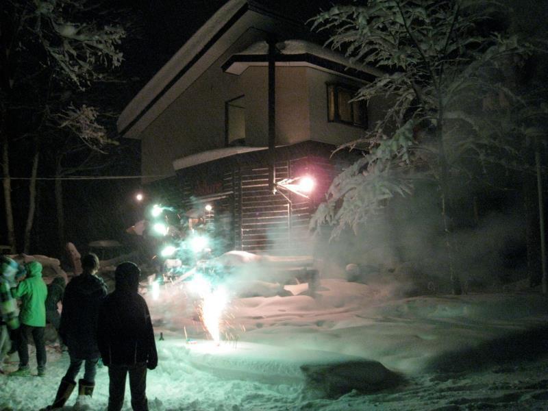Alpine Lodge Hakuba Dış mekan fotoğraf